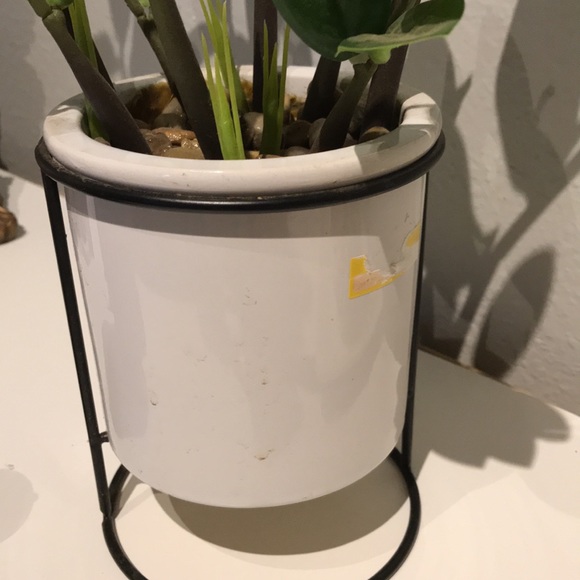 Faux Plant Artificial ZZ Plant Faux Greens NEW Perfect Size FINAL SALE - Picture 5 of 8